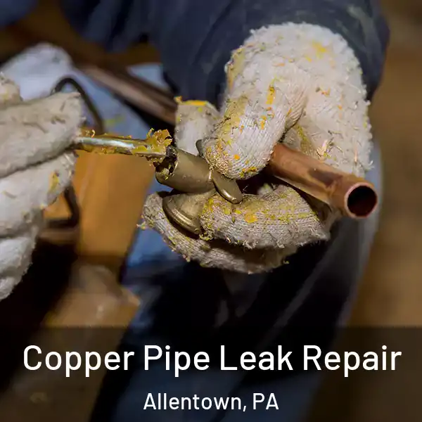  Copper Pipe Leak Repair Allentown, PA