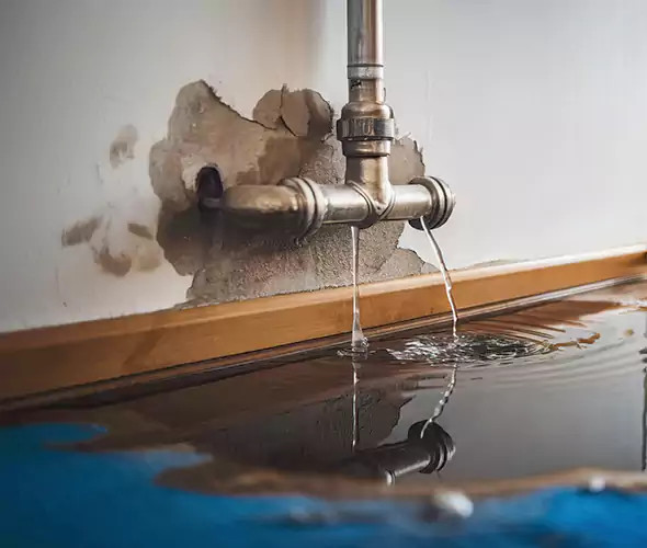 Professional Water Damage Restoration Experts in Allentown, PA — Fast, Reliable & Certified