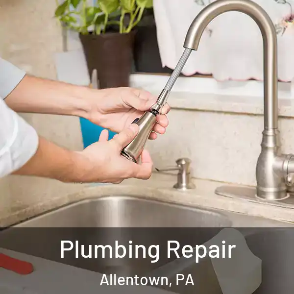  Plumbing Repair Allentown, PA