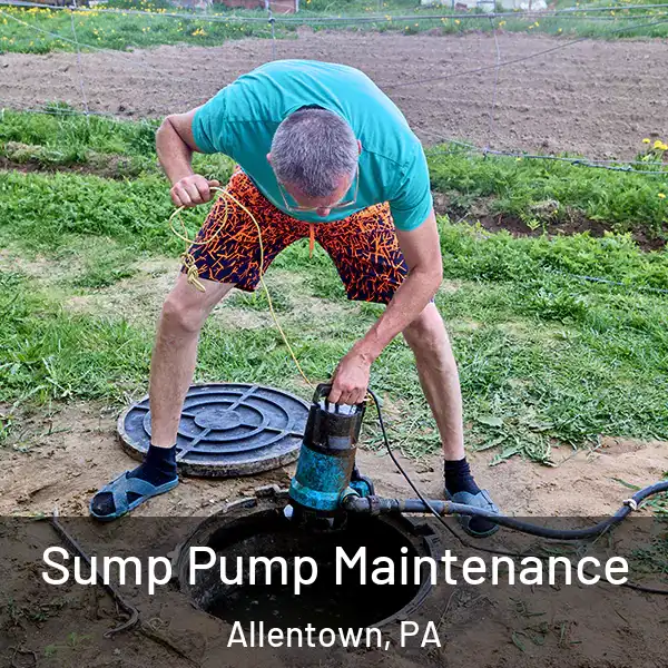  Sump Pump Maintenance Allentown, PA