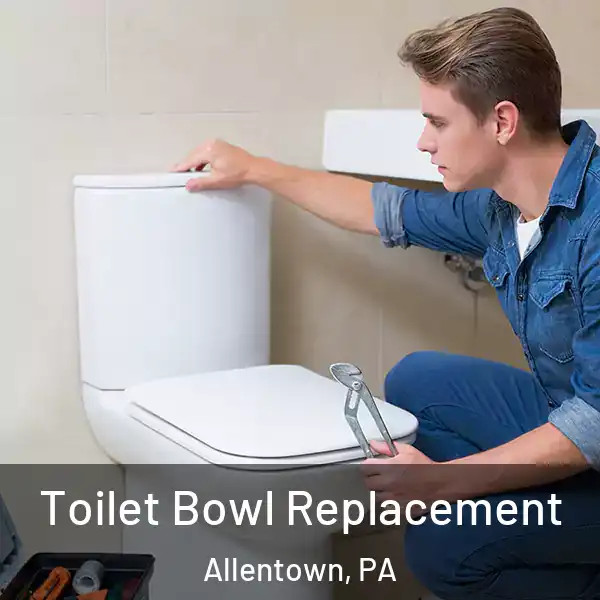  Toilet Bowl Replacement Allentown, PA
