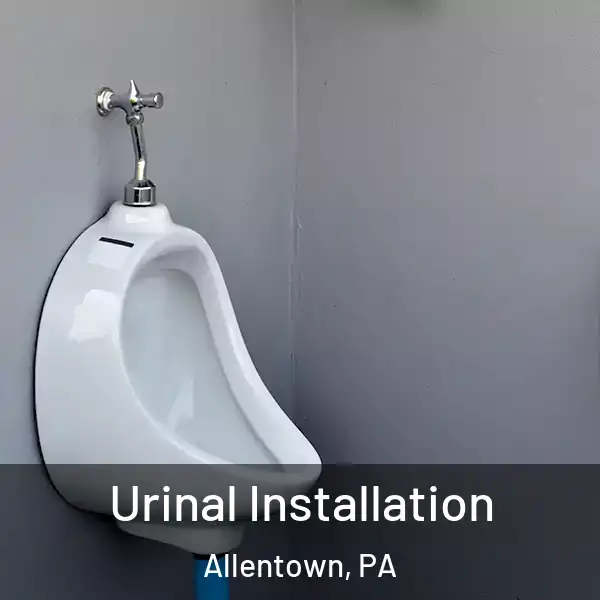  Urinal Installation Allentown, PA
