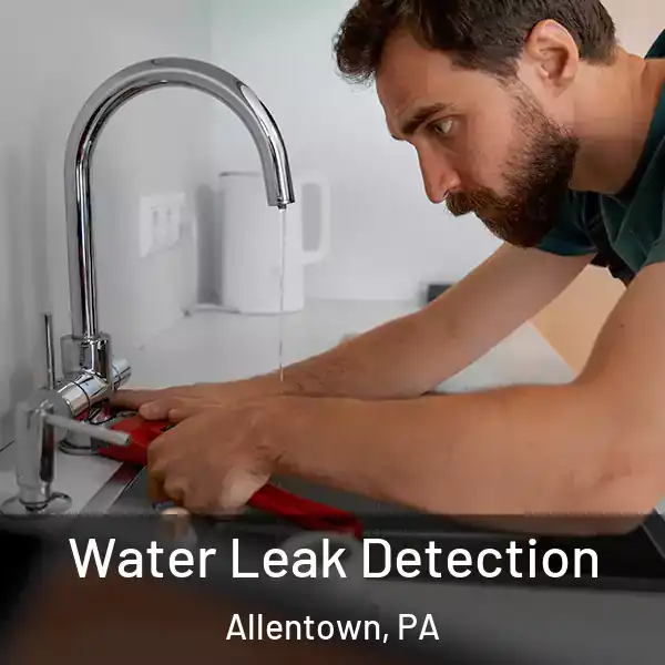  Water Leak Detection Allentown, PA