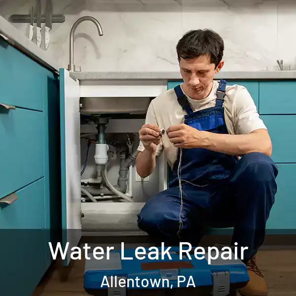  Water Leak Repair Allentown, PA